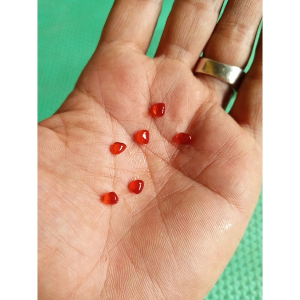 batu merah delima asli