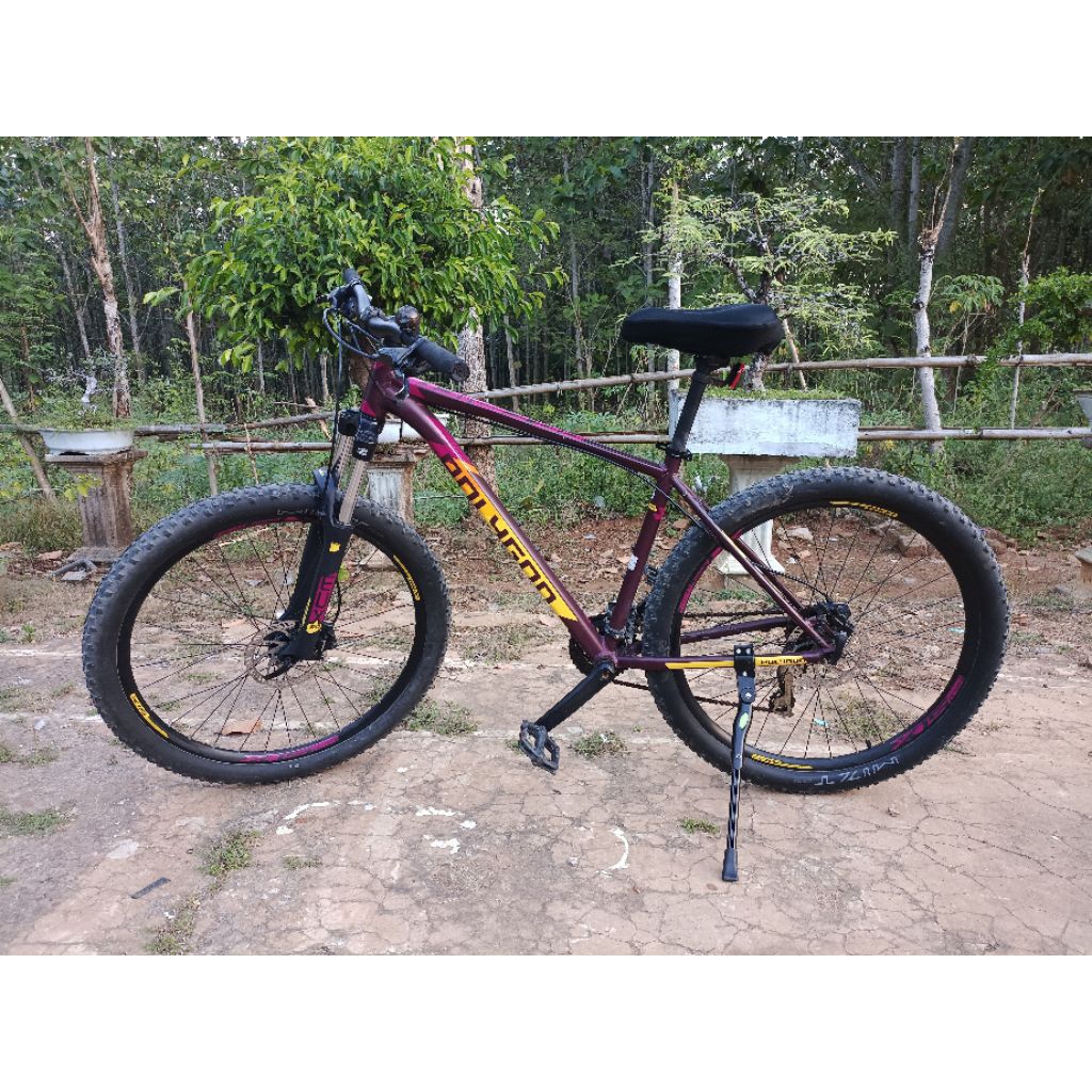 Polygon Premier 4