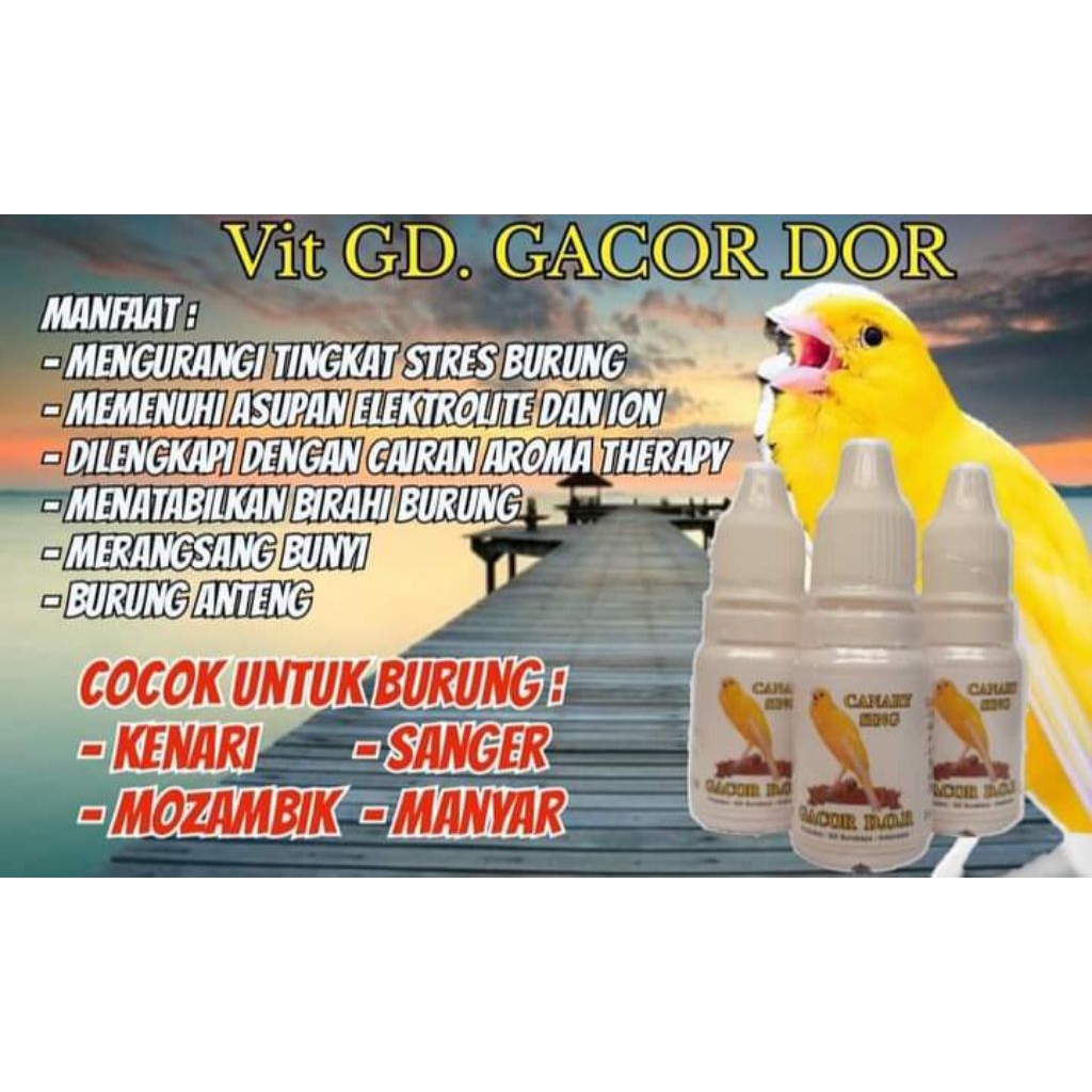 vitamin stabil birahi untuk burung kenari