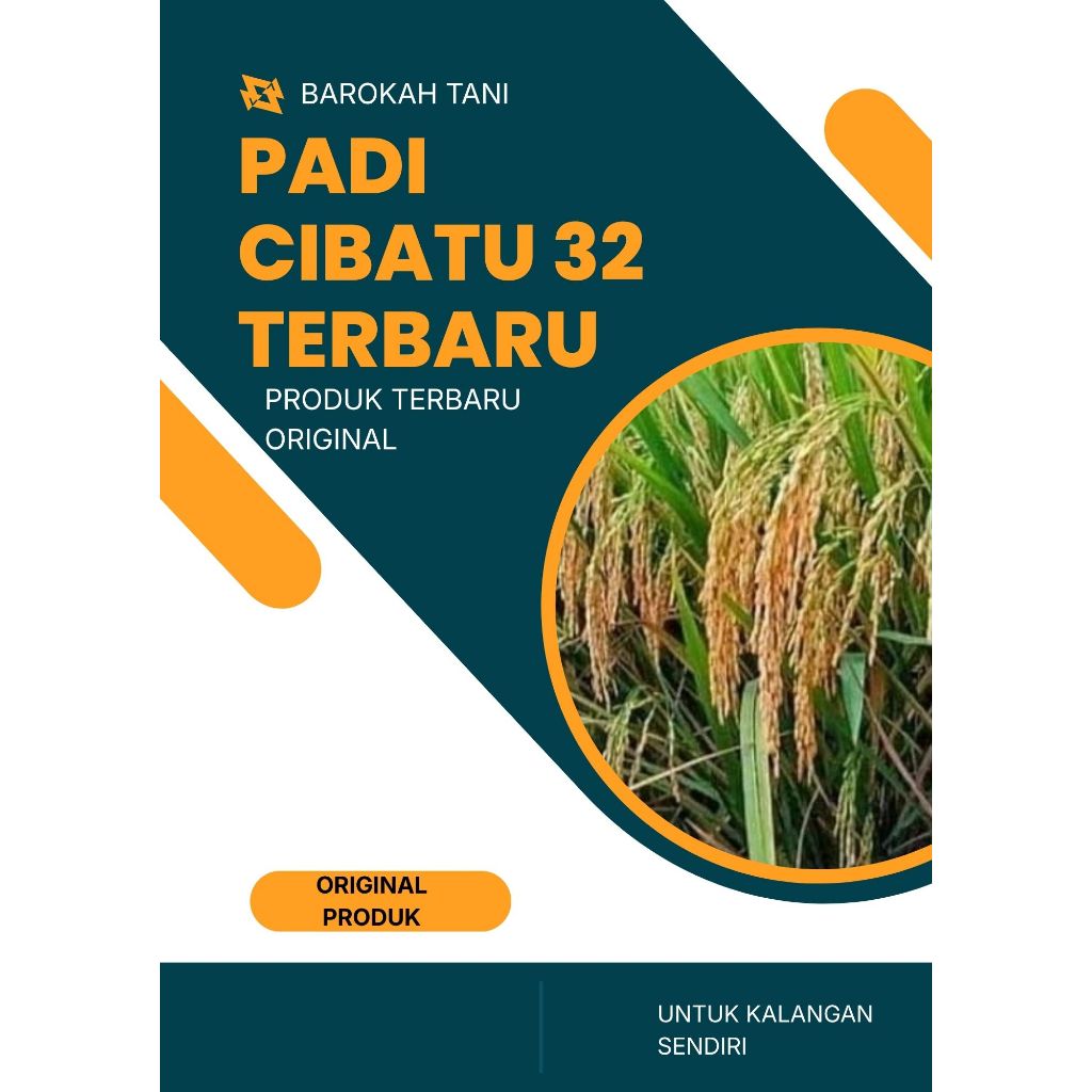 PADI CIBATU 32 SUPER KEMASAN 5 KG
