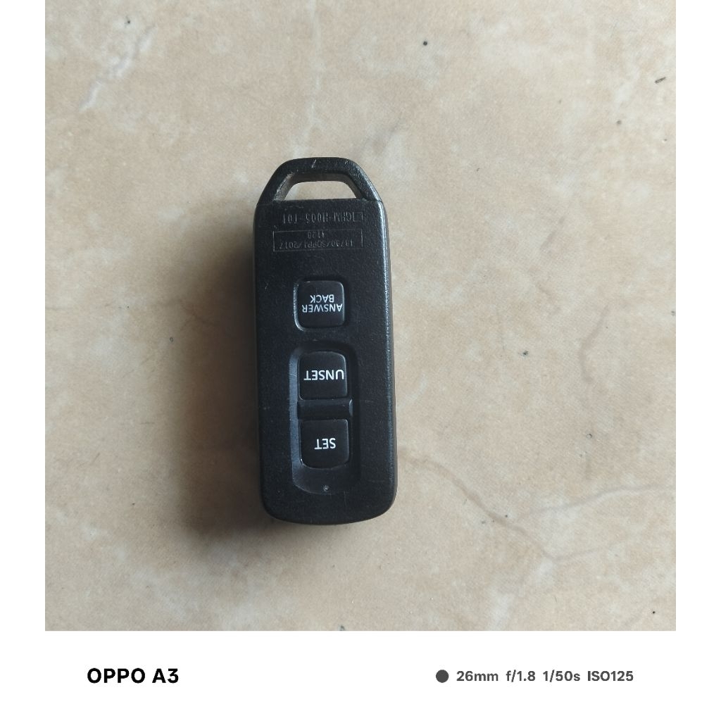 remote Scoopy Vario