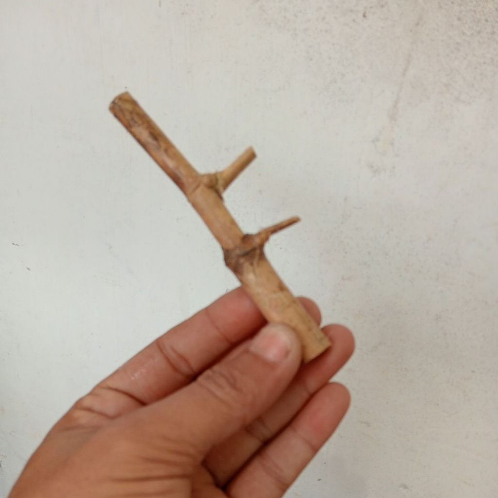 bambu petuk asli sambungan kerajinan