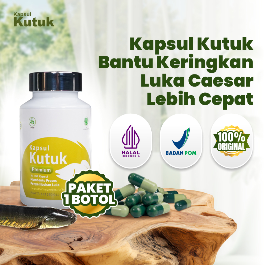 Official Seller Kapsul Kutuk - Solusi Luka Pasca Operasi Caesar Ekstrak Pil Gabus Albumin Obat Luka 
