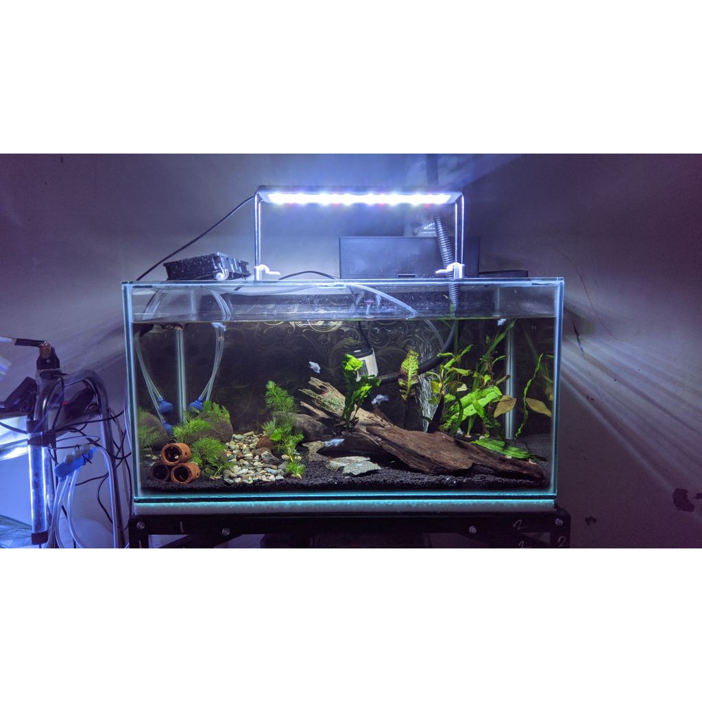 Aquascape Set Sudah jadi