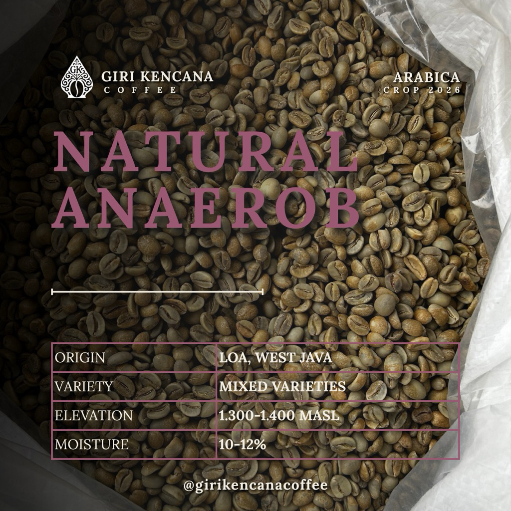 Green Bean Arabica Natural Anaerob Java Preanger – Coffee Bean Loa, Jawa Barat Specialty Grade – Bij