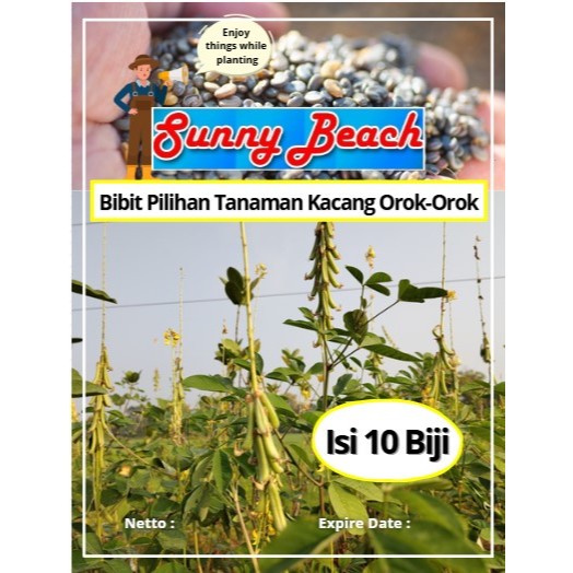 Bibit Pilihan Tanaman Kacang Orok-Orok | Biji Benih Tanaman Kacang Orok-Orok | Kacang Orok-Orok