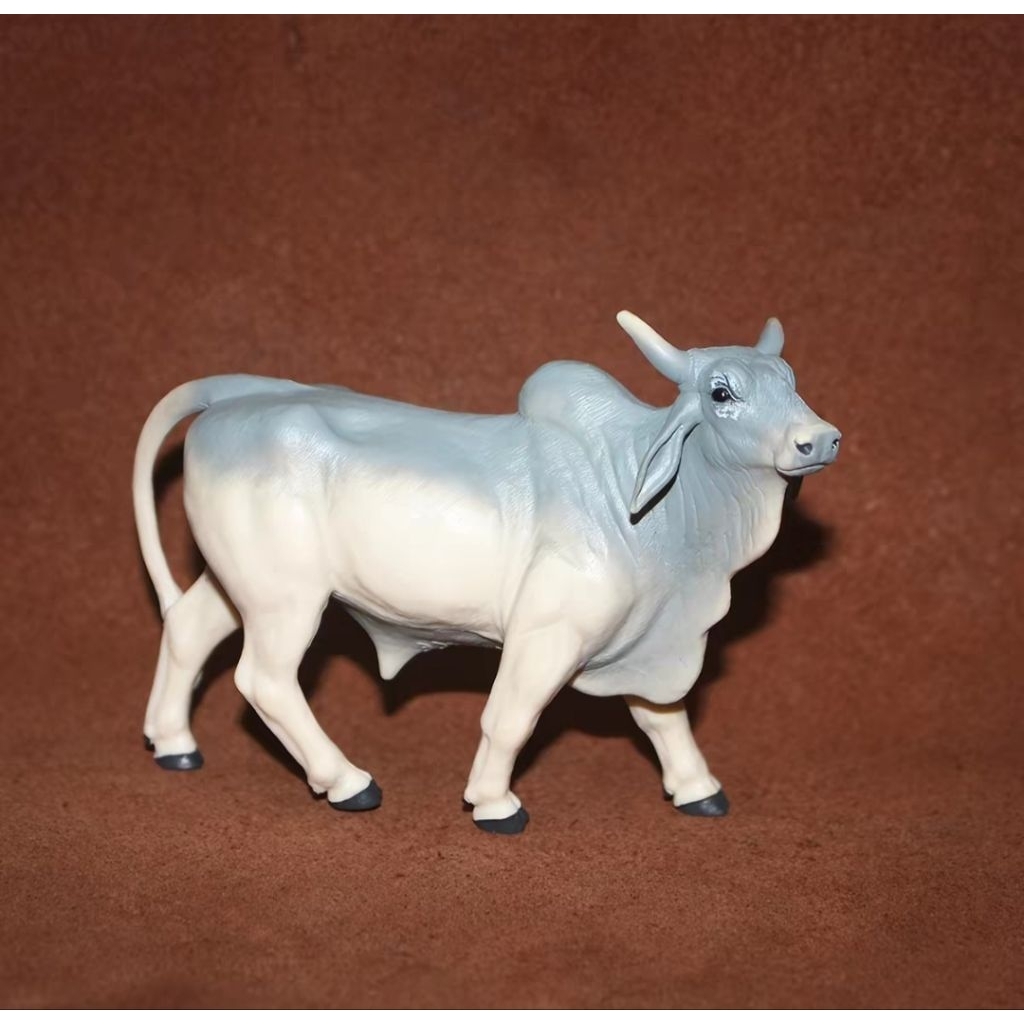 Figure Sapi Brahman Safari LTD