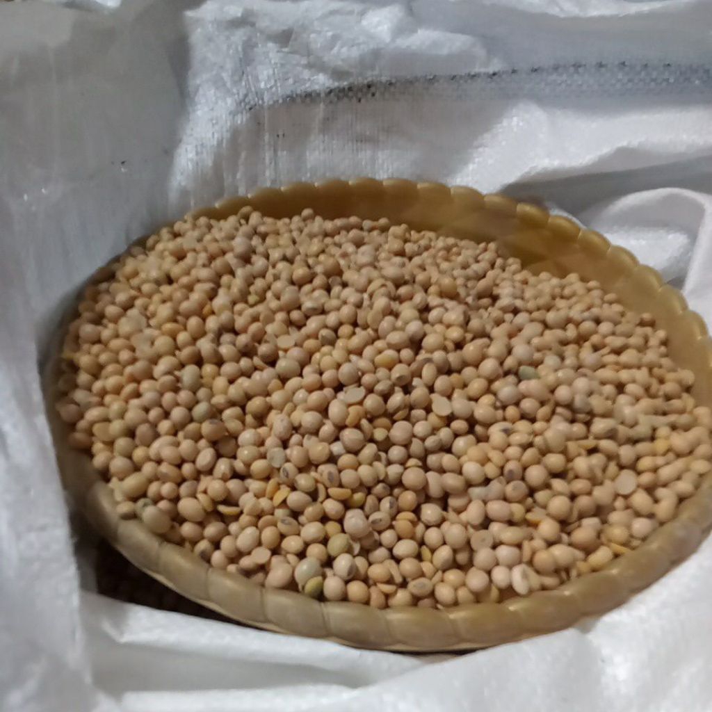 Kedelai Amerika 1kg