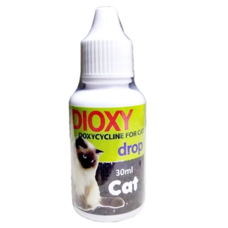 Dioxy - obat antibiotik tetes untuk kucing