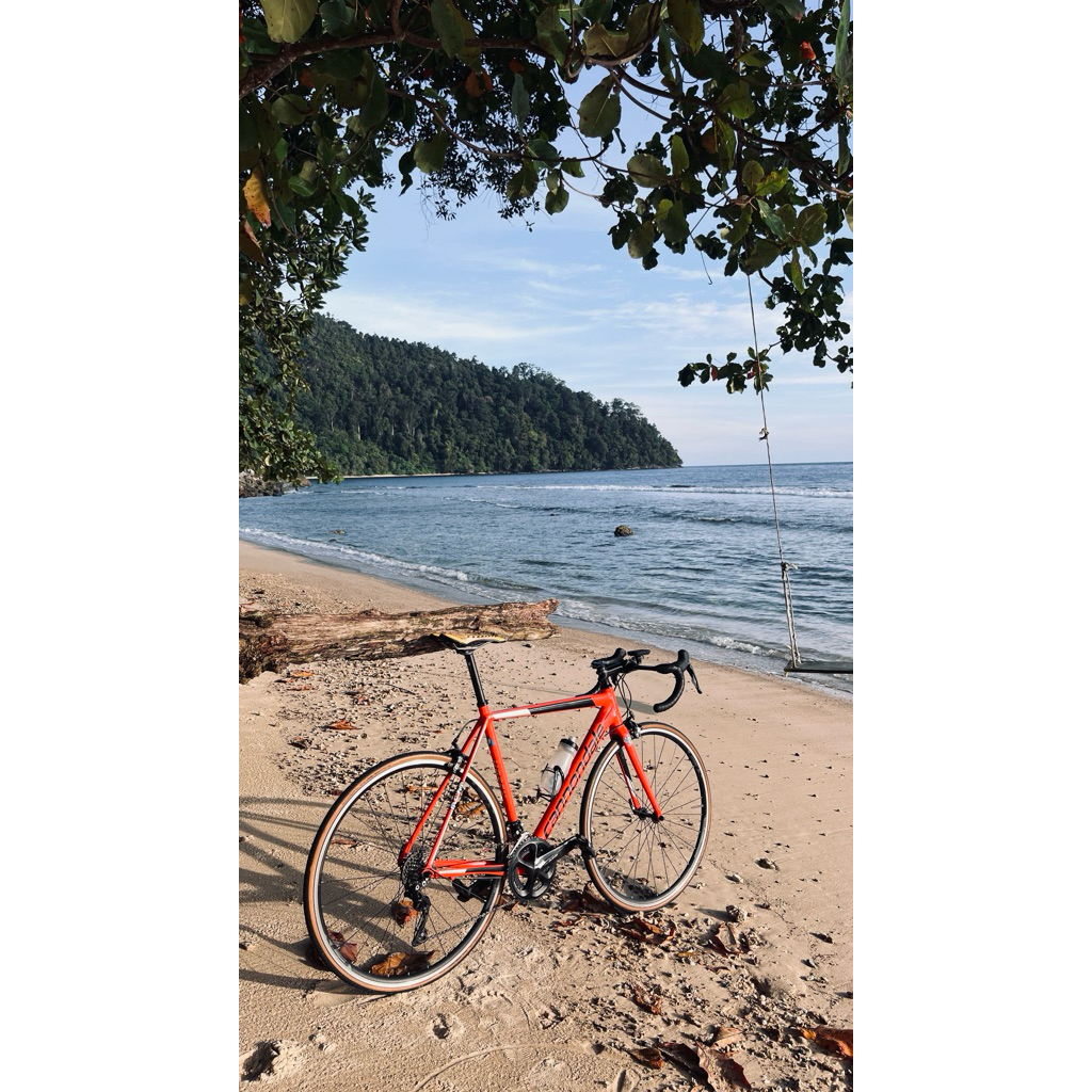 Cannondale CAAD Optimo Size 54