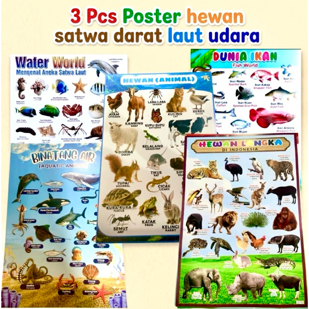 Paket Hemat 3 Poster Hewan Edukasi Kompit 3D Ukran besar Satwa laut udara dan darat