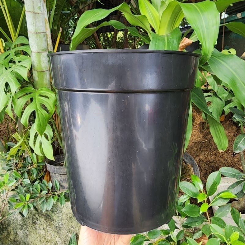 POT Viral UJB 25 Tabung Tinggi Polos Hitam Diameter 22cm 17cm Tinggi 24cm