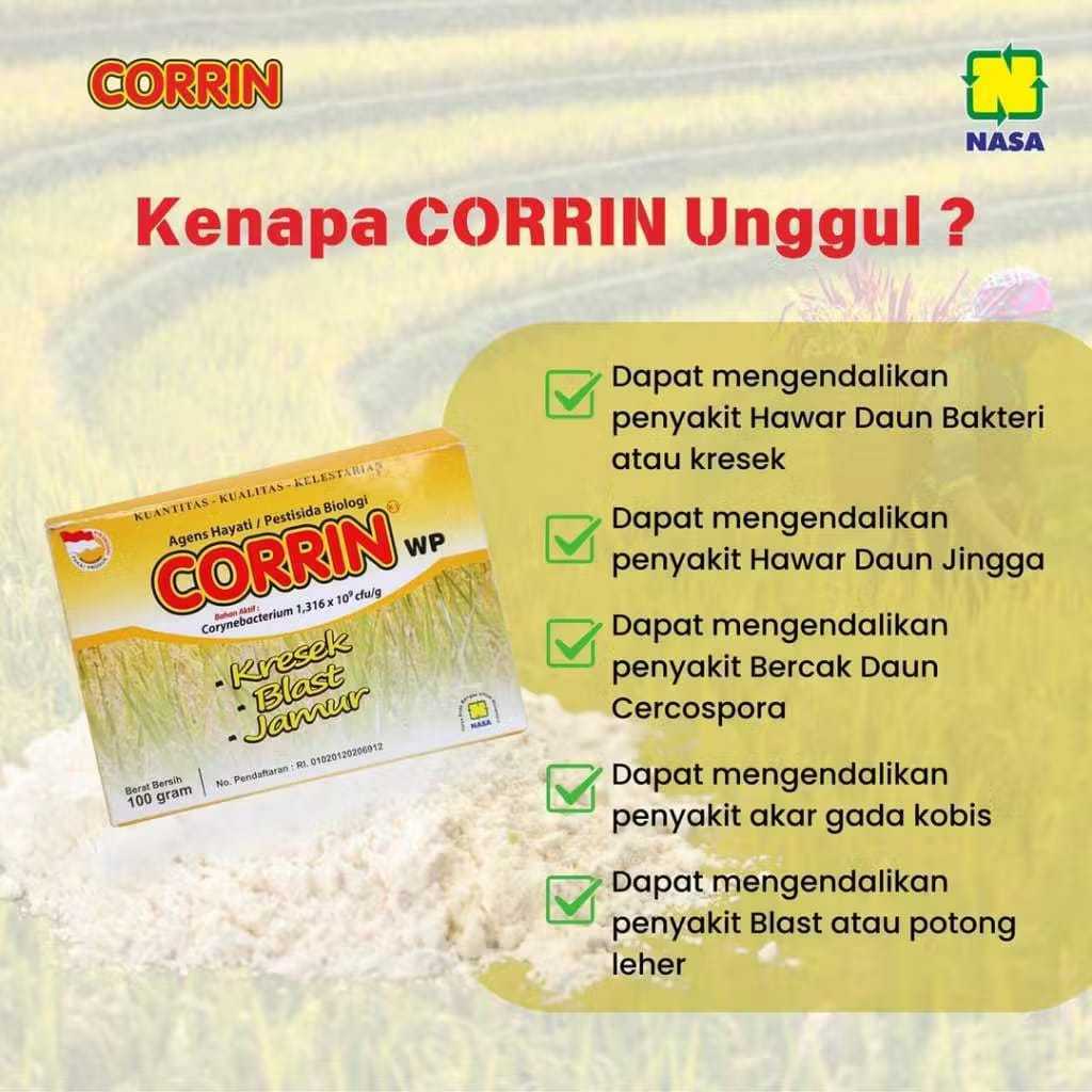 Obat Pengendali Hama Penyakit Pada Tanaman Padi Obat Penyakit Blast Tanaman Padi Insektisida Organik
