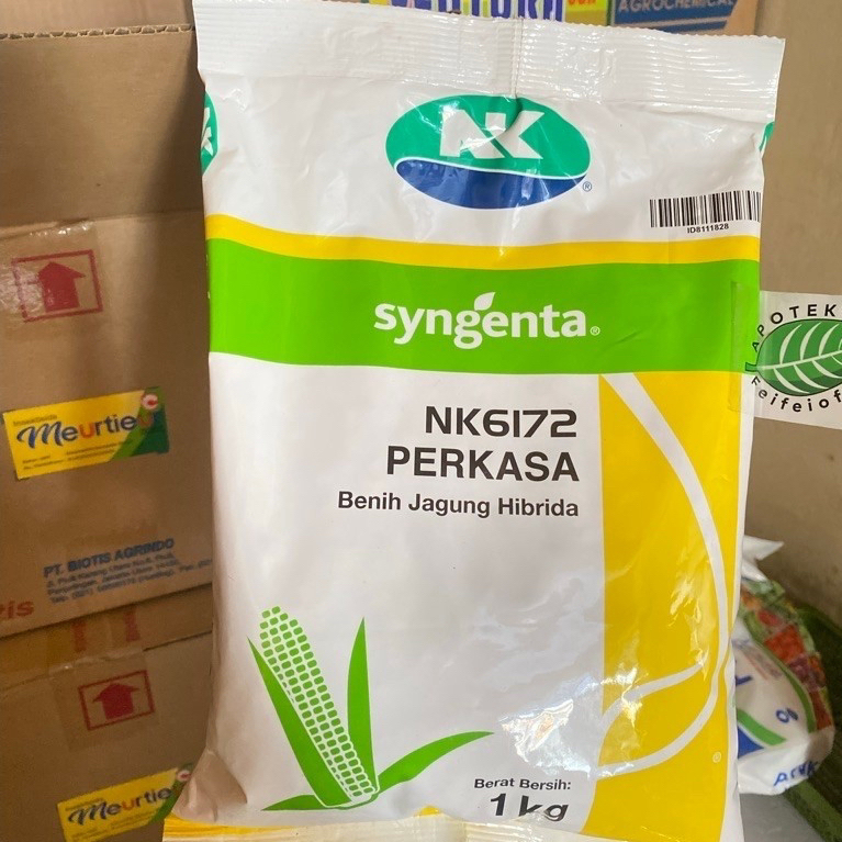 JAGUNG NK 6172 PERKASA / BENIH JAGUNG NK PERKASA / BENIH JAGUNG NK6172 PERKASA ORIGINAL 100%