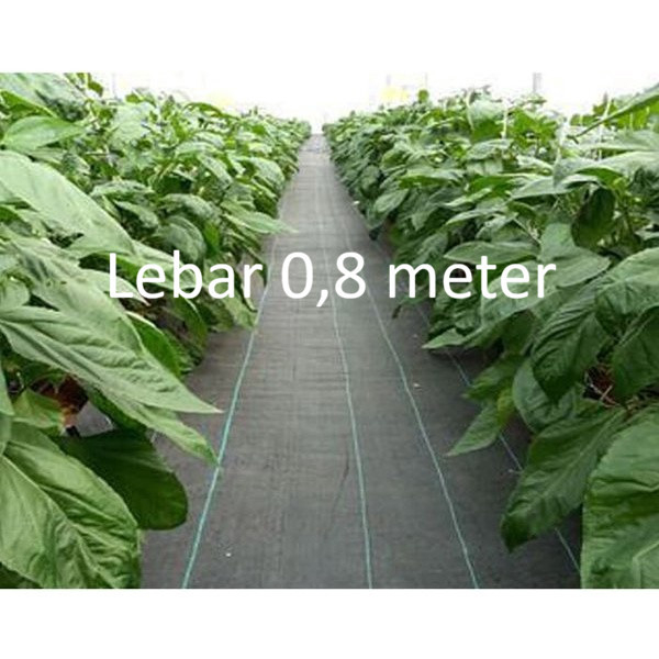 Weedmat Control Terpal Mulsa Anyam Antirumput