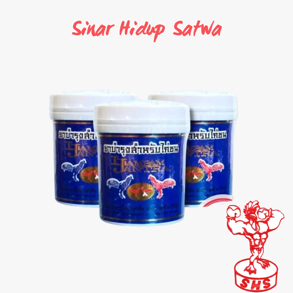 Lampam Jantra ginseng rawatan untuk ayam dewasa / obat rawatan import thailand / lampam import origi