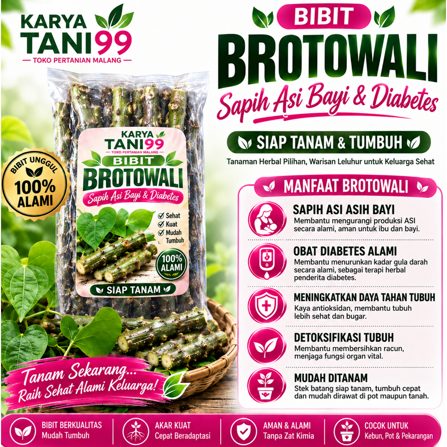 Bibit Brotowali Siap Tanam Tumbuh Sapih Asih Bayi & Diabetes 100% Alam
