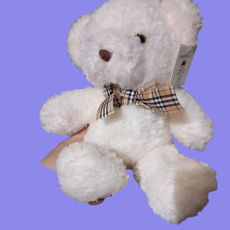 USUPSO usupsolife boneka beruang cream berbulu teddy bear Super Lembut boneka wisuda