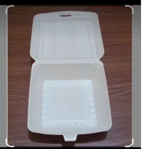 Styrofoam Nasi / box nasi polos isi 25 pcs