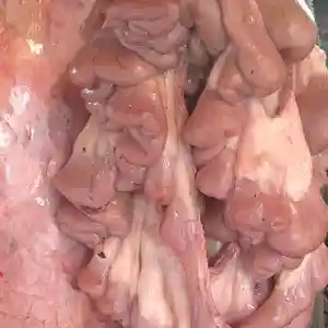 usus Sapi 1kg