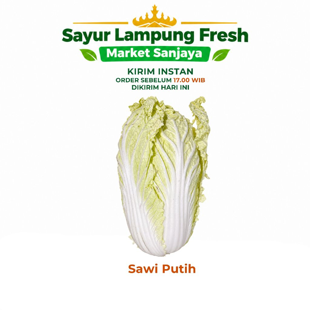 Sayur Lampung Fresh | Sawi Putih Segar | Sayuran Pilihan