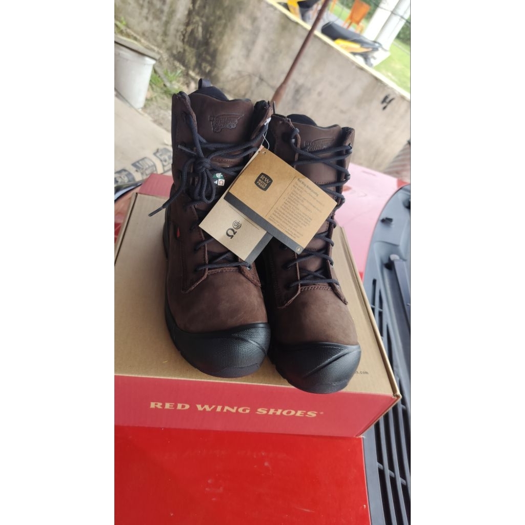 REDWINGS3033