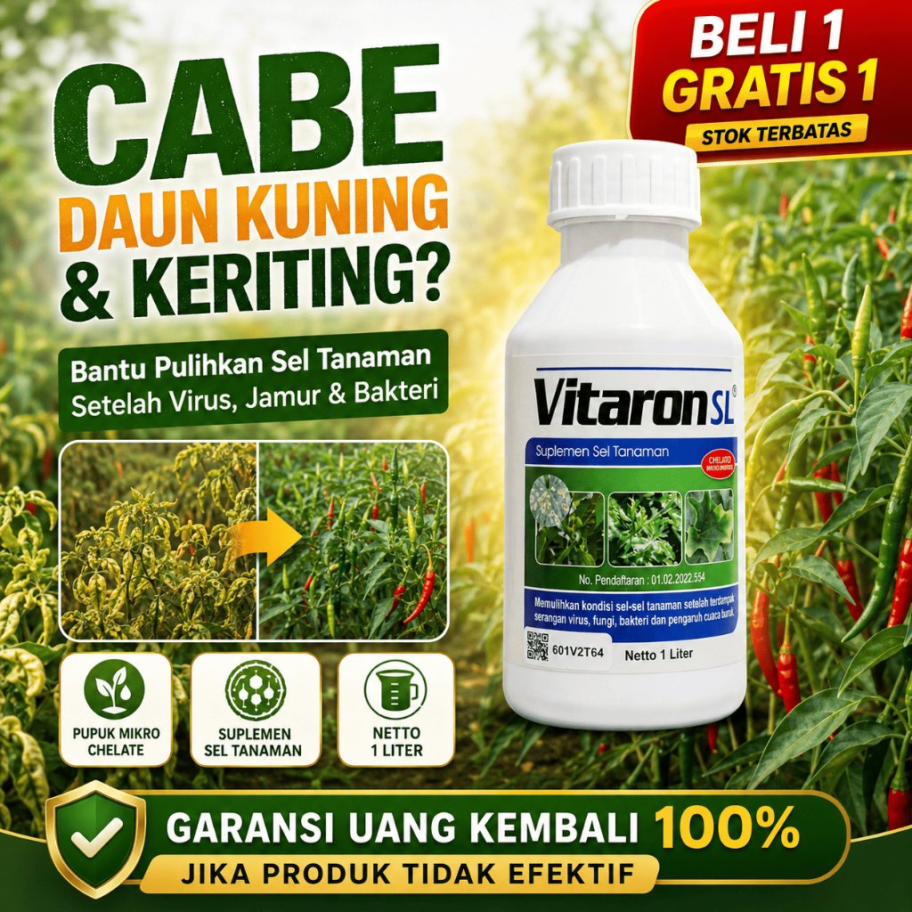 VITARON SL 1L Pupuk Cabe Daun Kuning Keriting Suplemen Sel Tanaman Pemulih Setelah Virus Jamur Bakte