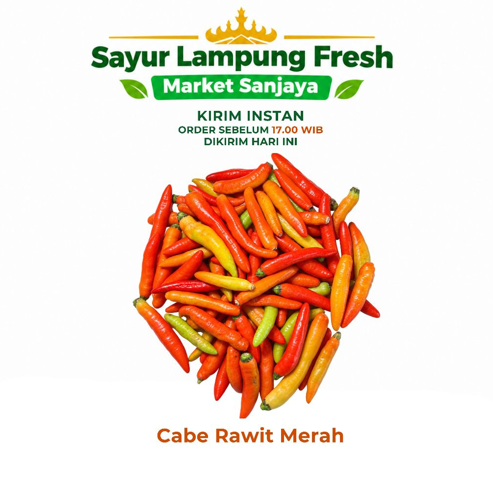 Sayur Lampung Fresh | Cabe Rawit Merah/Cabe Setan Segar - Cabe Pedas untuk Sambal Masakan