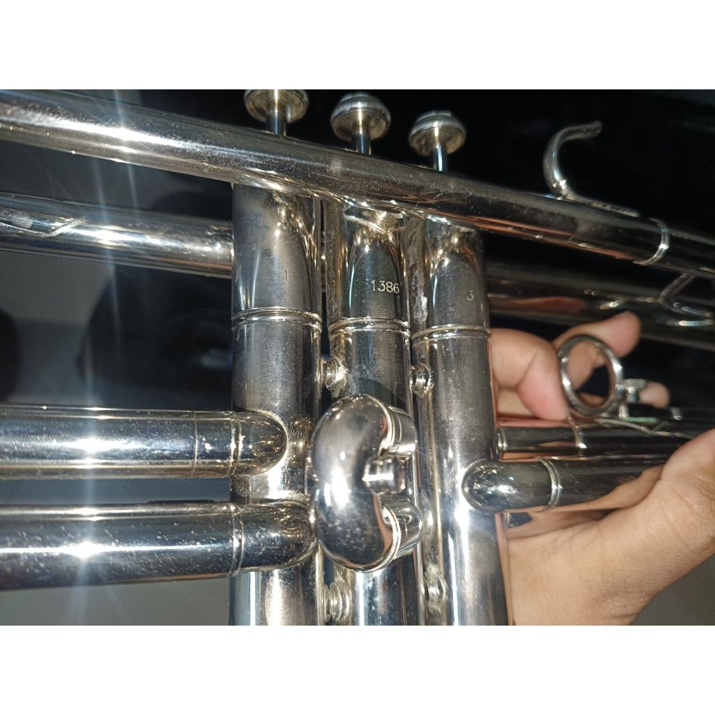 Trumpet Lark Seccond