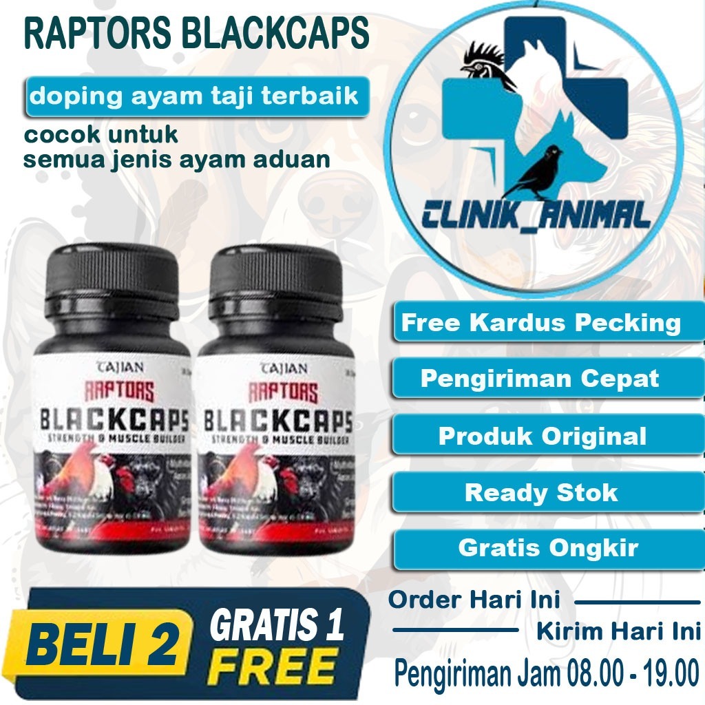 Doping Ayam Aduan Pisau Laga - RAPTORS BLACKCAPS 30 KAPSUL