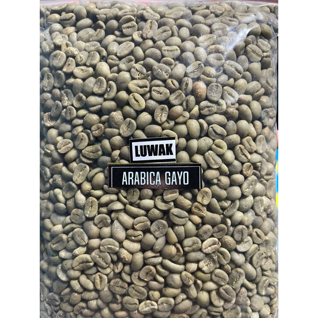 Biji Kopi Hijau Arabica Gayo Luwak dalam Kemasan Plastik Transparan