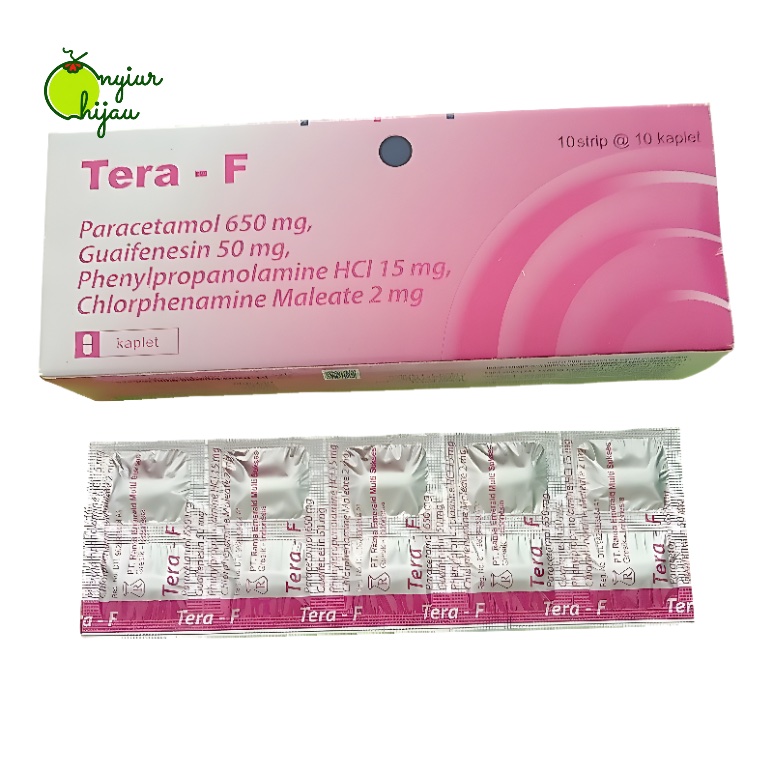 Tera-F Obat Flu dan Batuk Tablet Per Strip