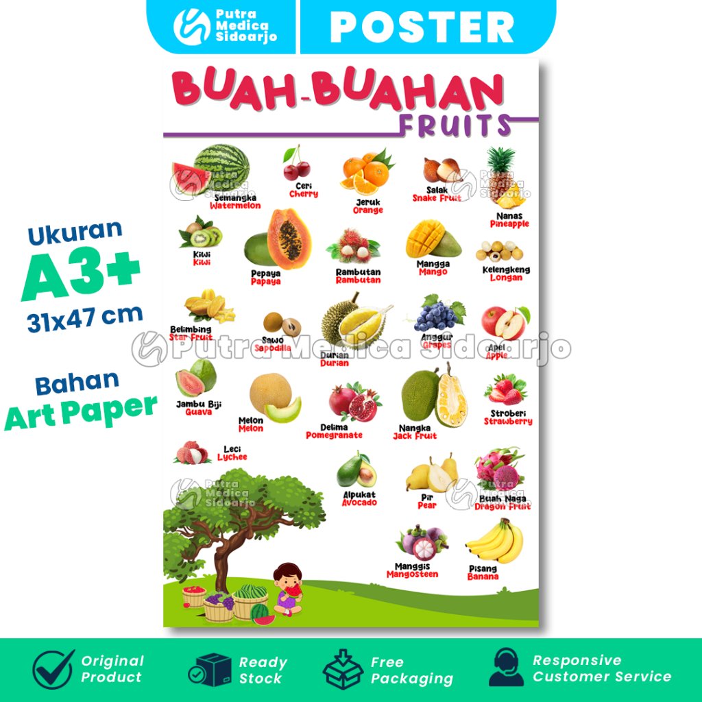 Poster Mengenal Buah - Buahan A3+ / Gambar Edukasi Anak / Belajar Nama Buah
