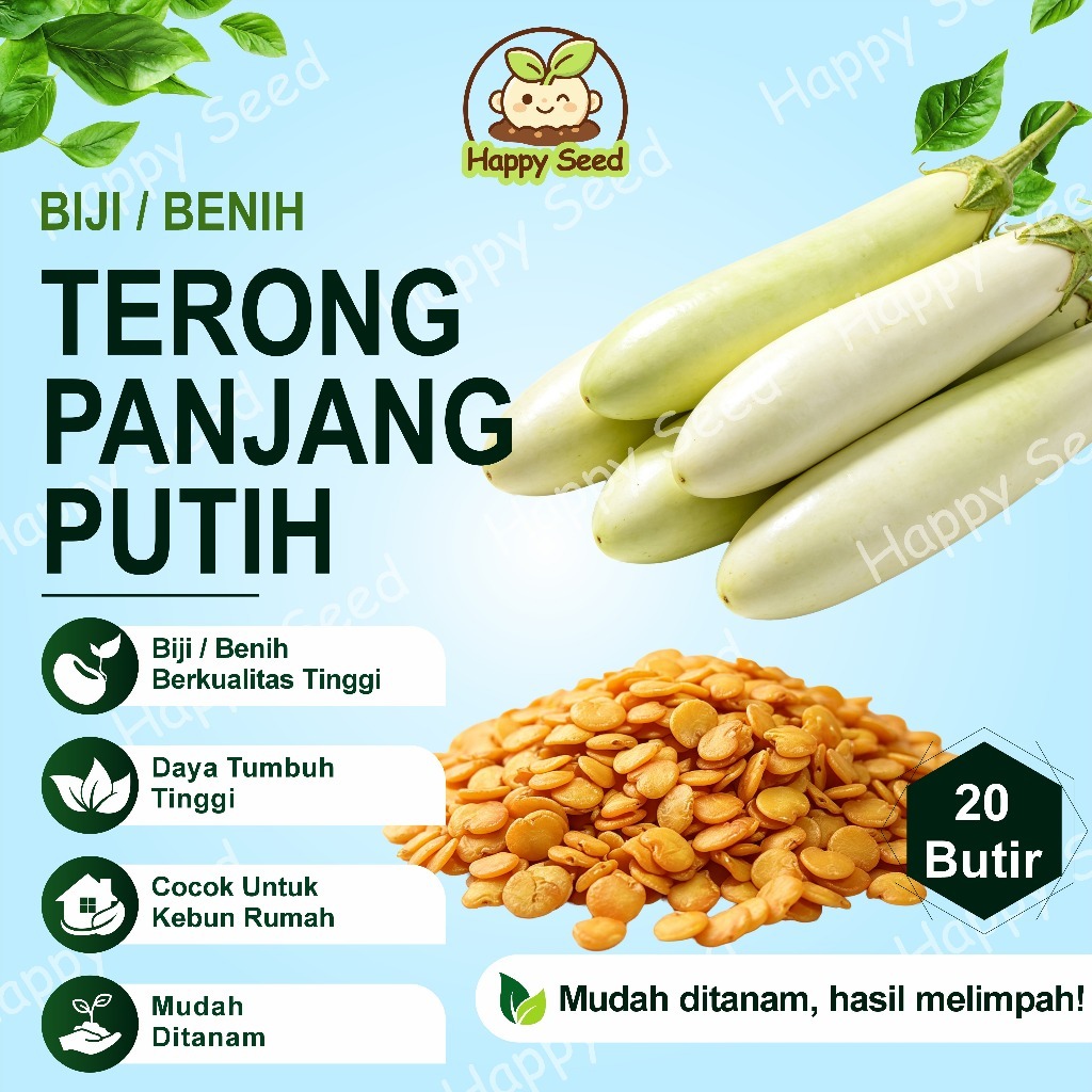 20 Biji / Benih Terong Panjang Putih | Repack Siap Semai Bisa COD