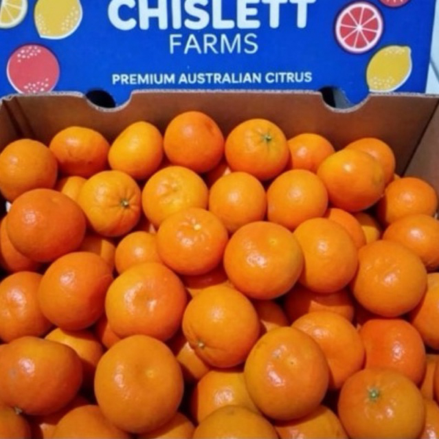 Jeruk Afourer Australia Super Fresh 1kg / Jeruk australia Mandarin Juice