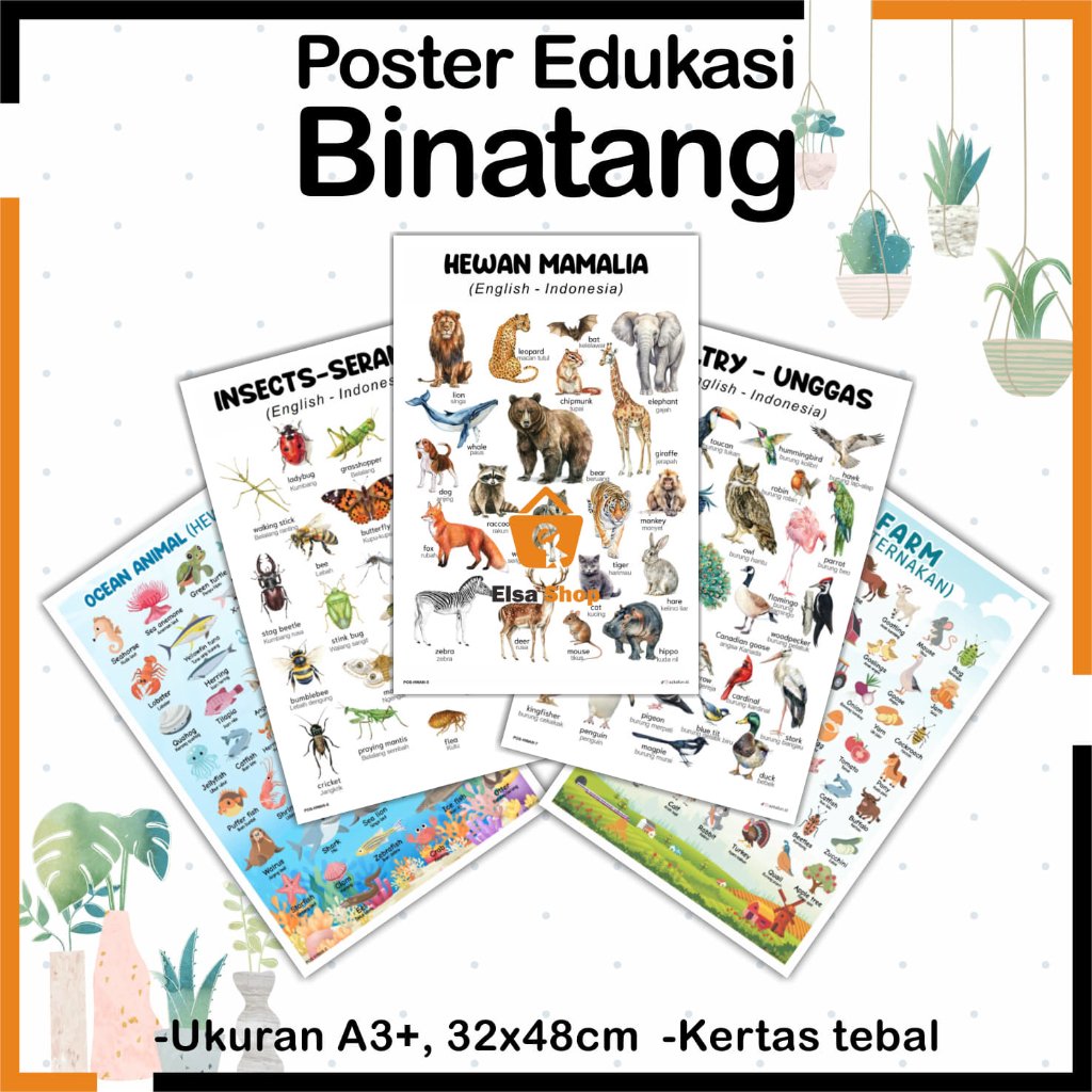 Poster HEWAN - Poster edukasi binatang, hewan darat, hewan peliharaan, hewan laut
