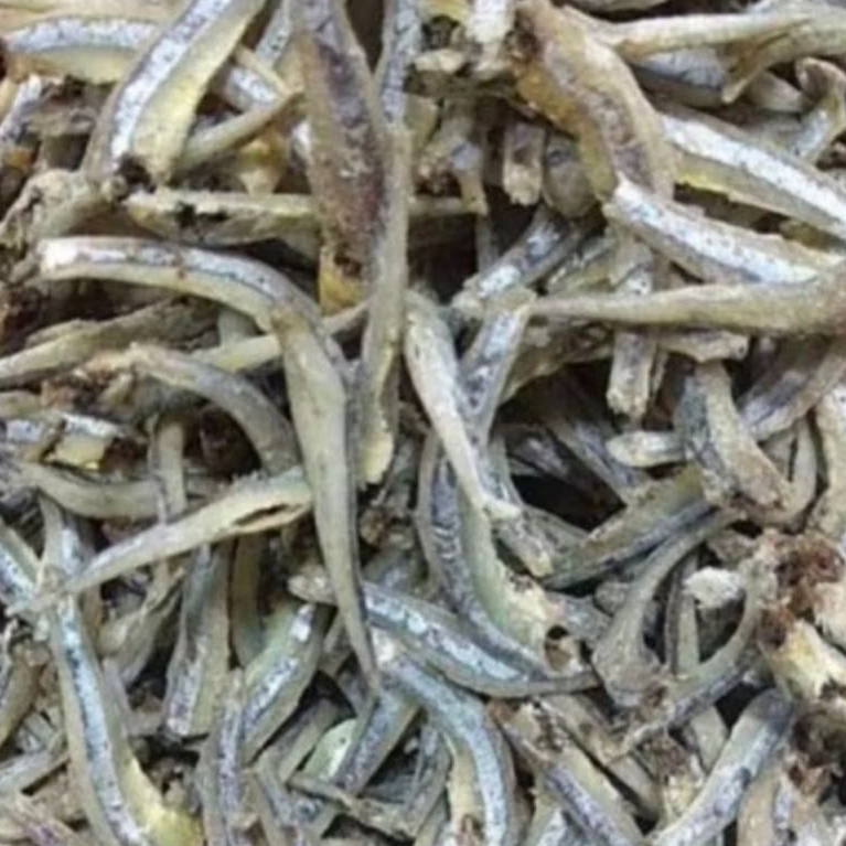 Ikan Teri Besar khas pontianak segar fresh pasar pagi flamboyan pontianak kalimantan Barat