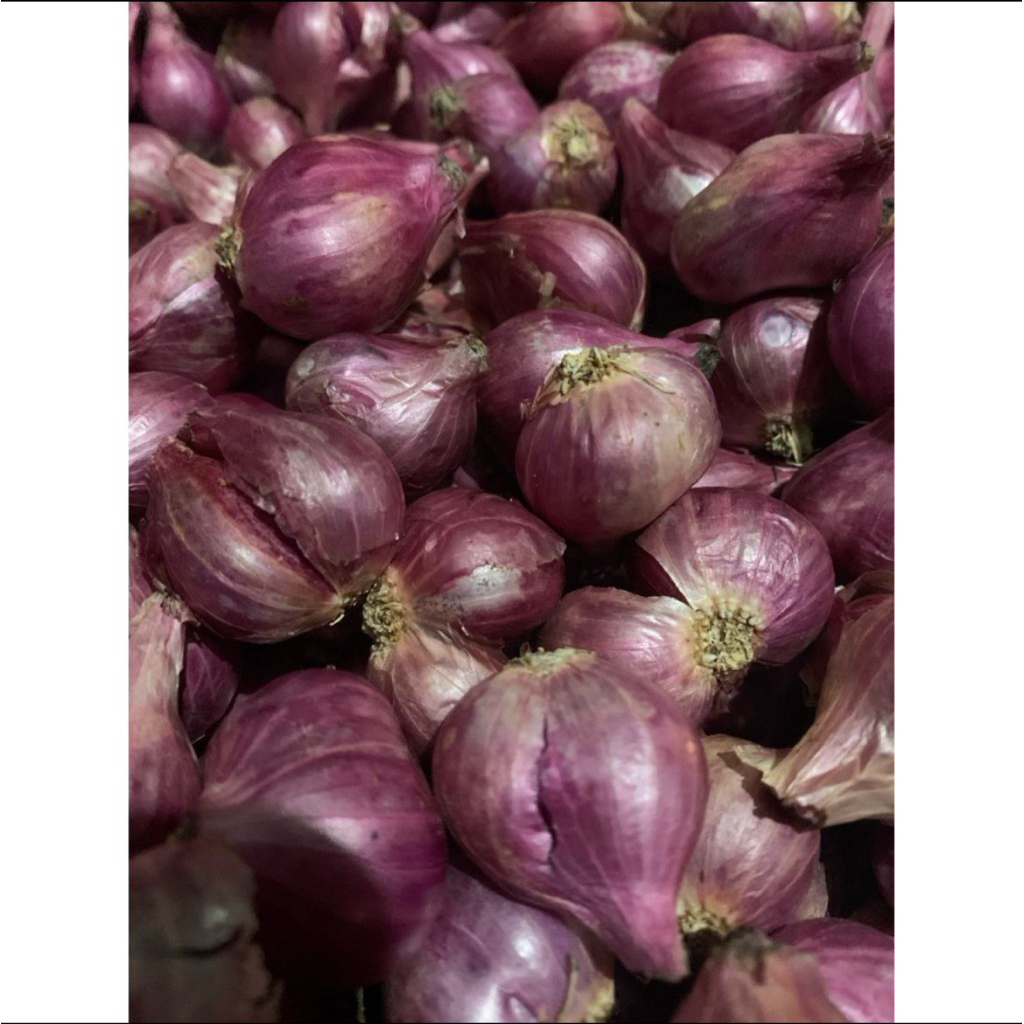 

Bawang Merah Size Sedang Kemasan 1000gr