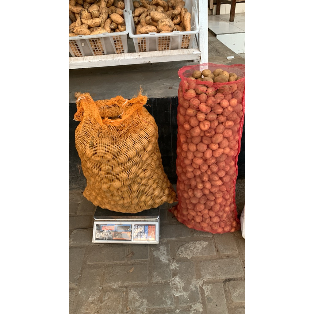 

grosir kentang Dieng Size TO diameter 3 4 CM