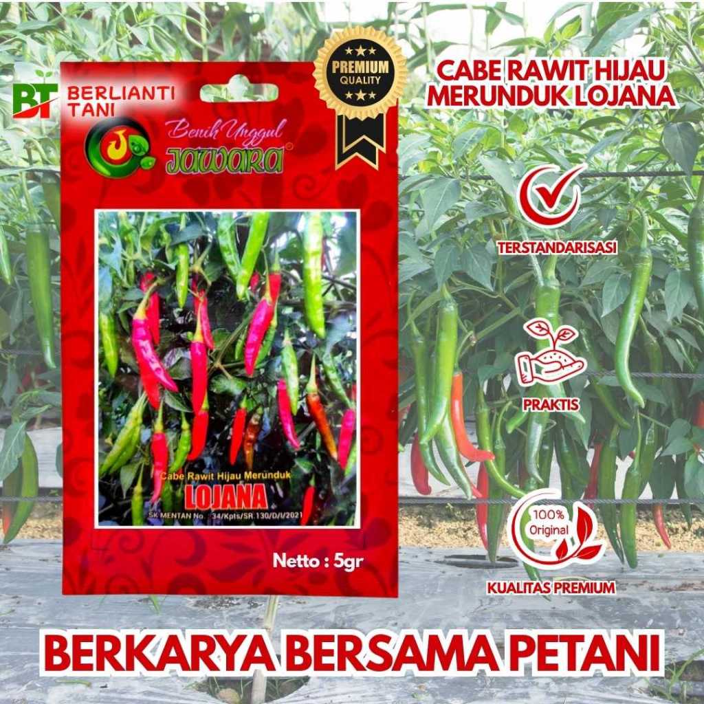 BENIH UNGGUL JAWARA CABE RAWIT HIJAU LOJANA ISI 5 GRAM