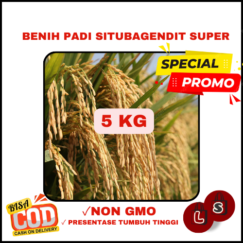 BENIH PADI SITU BAGENDIT 5 KG