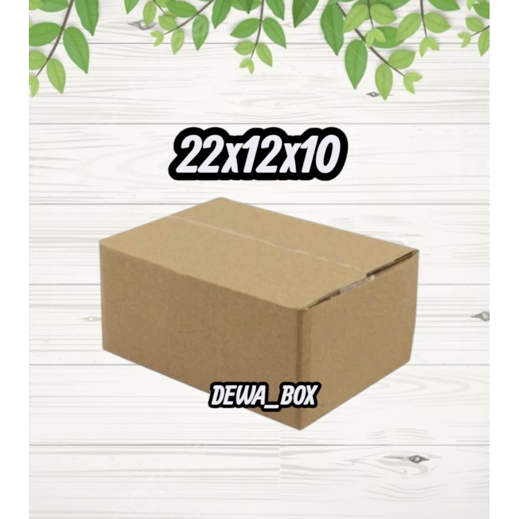 

kardus_box_packing_22x12x10