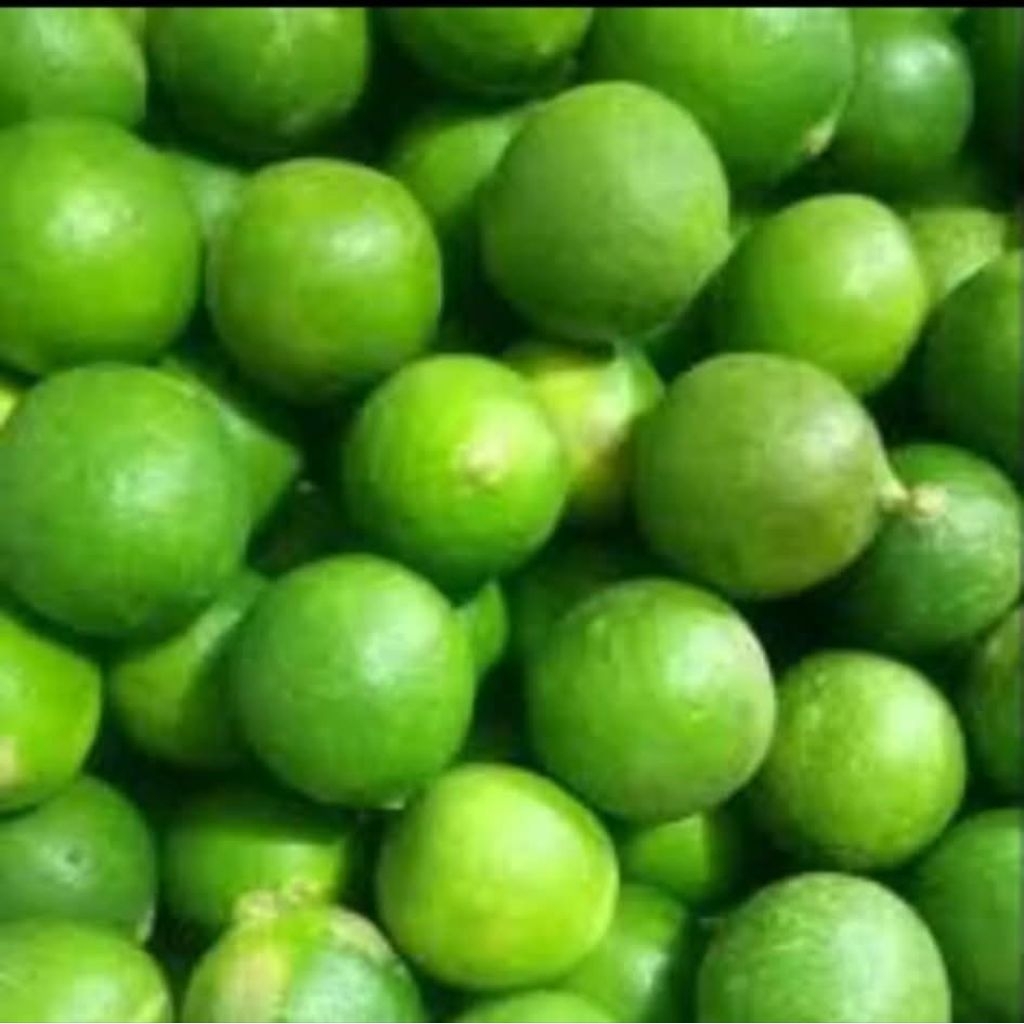 

Jeruk nipis/jeruk pecel fress kemasan 5 pc