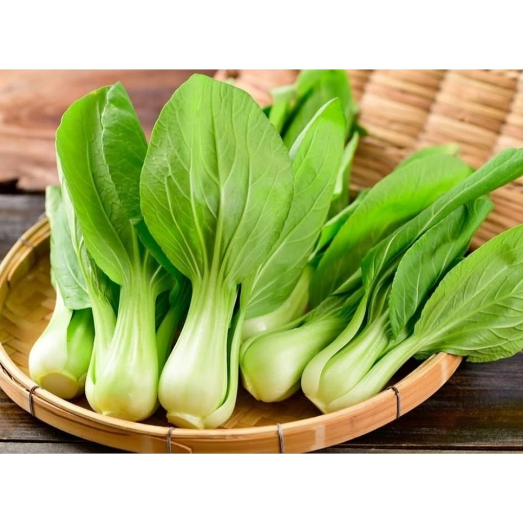 

Sayuran hijau pok coy - Andira Fresh