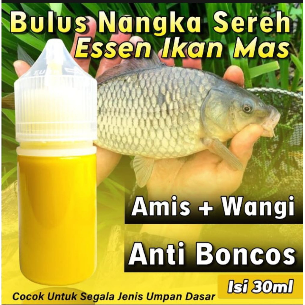 Essen Oplosan Aroma Bulus Nangka Sereh Paling Bagus Buat Mancing Ikan Mas Harian Dan Lomba Galatama 