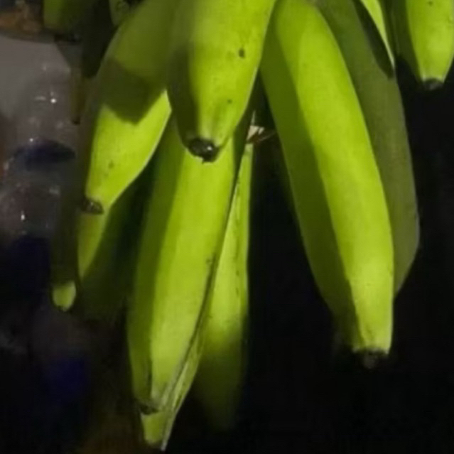 

Buah Pisang Mentah Arm 5pcs TP Pisang Bangkaulu