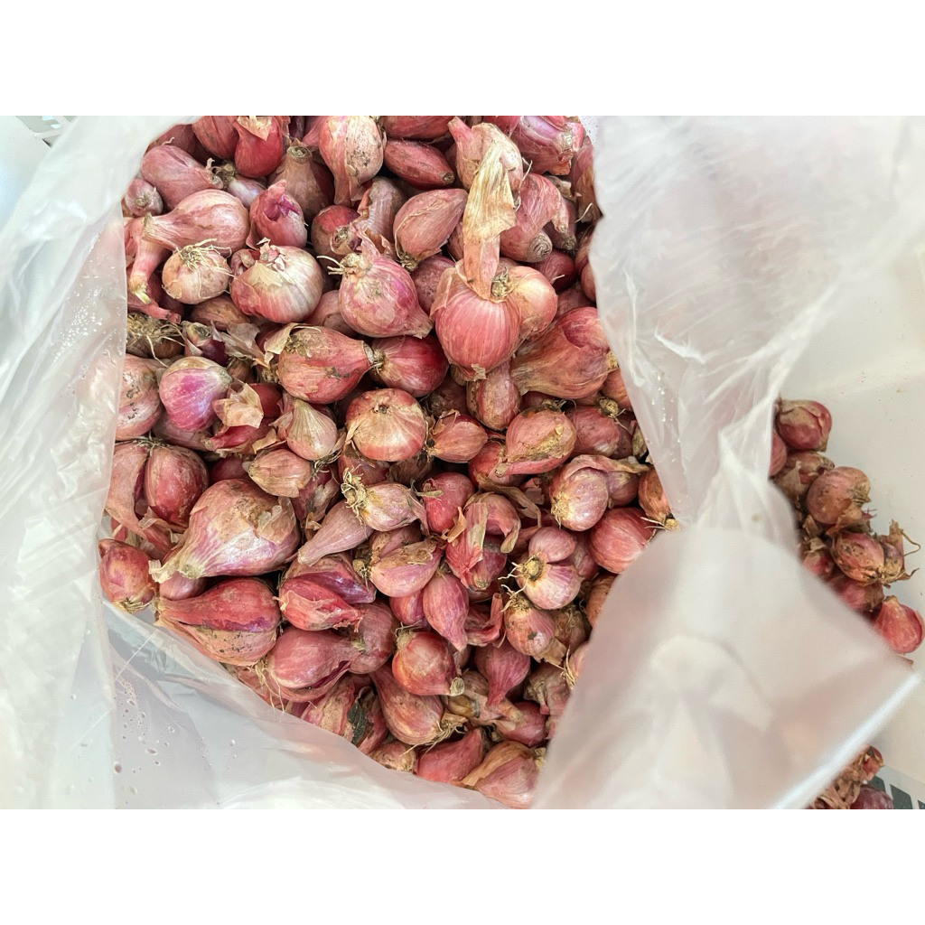 

[INSTANT ONLY] Bawang Merah