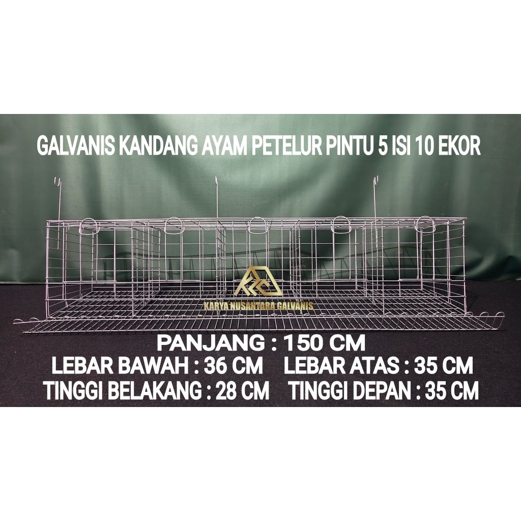 GALVANIS BATERAY KANDANG LAYER AYAM PETELUR 5 PINTU ISI 10 EKOR BATRAI