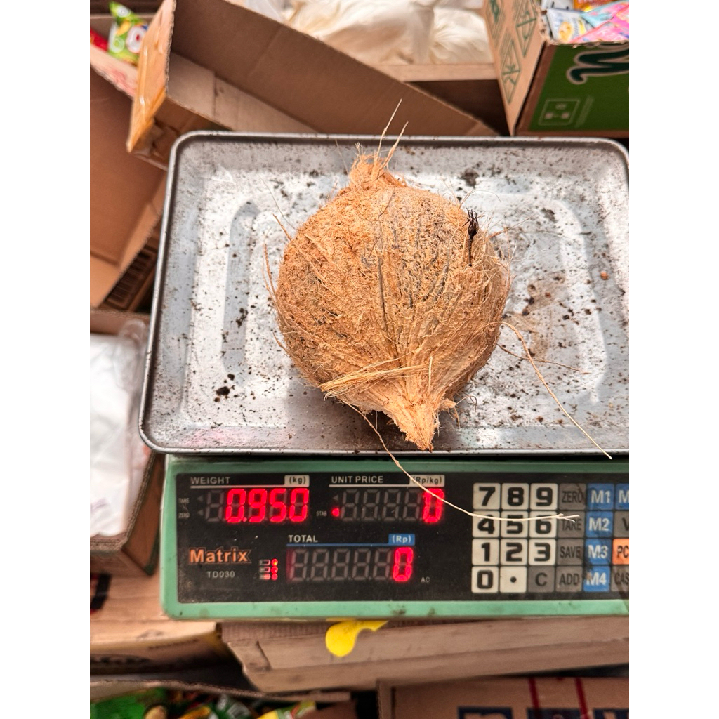 

Kelapa Tua Ukuran 0,900 kg
