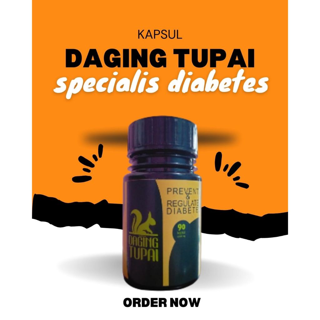 Kapsul Daging Tupai pilihan (grade A) - Obat herbal Diabetes Ampuh